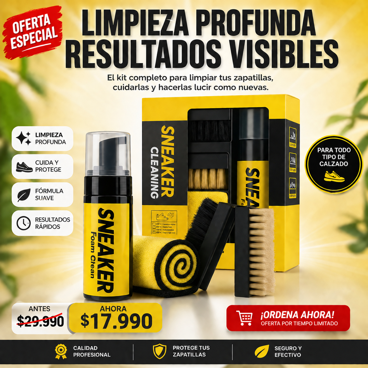 Kit de limpieza para calzado